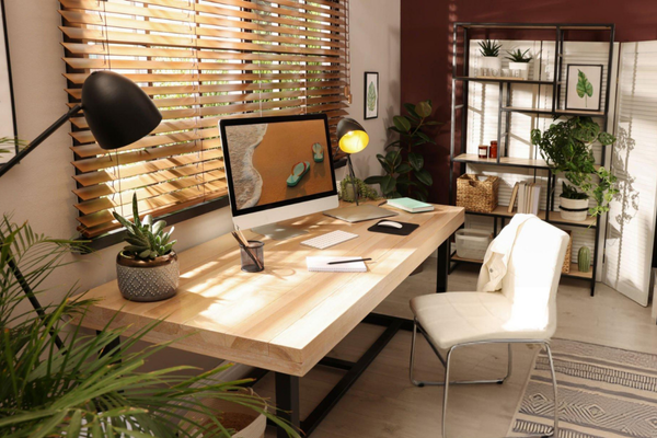 Window Blinds in Delhi
